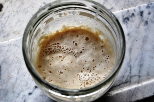 Healthy leaven