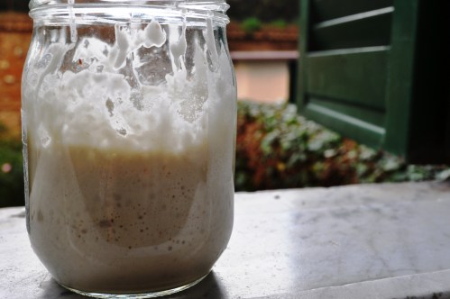 Healthy leaven