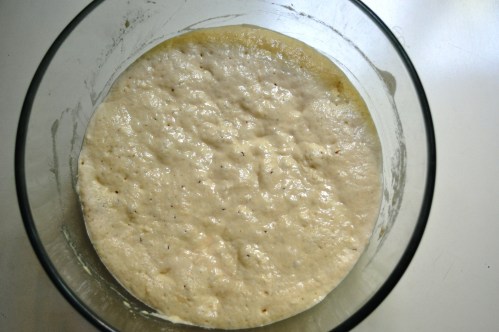 Duro-Manitoba sponge