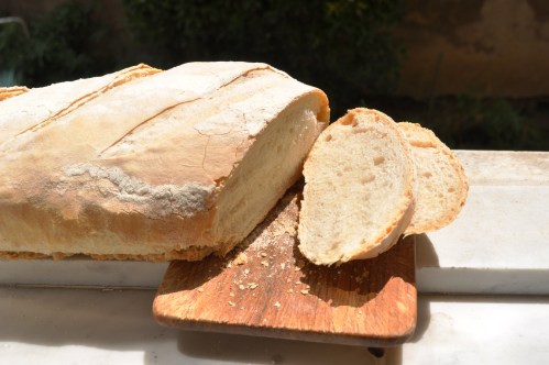 freshly cut biga loaf