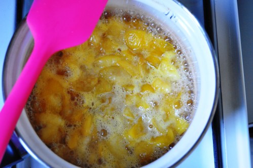 Making a sweetened, stewed, sloppy semi-puree of plums