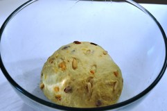 Dough, before 1st prove