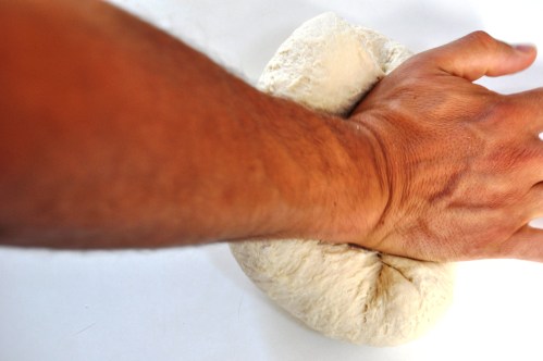 Kneading Devonshire split dough
