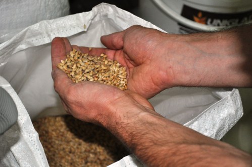 Light malt at Mastri Birra Umbri