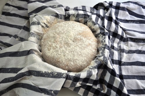 Beer barm bread dough, before final prove