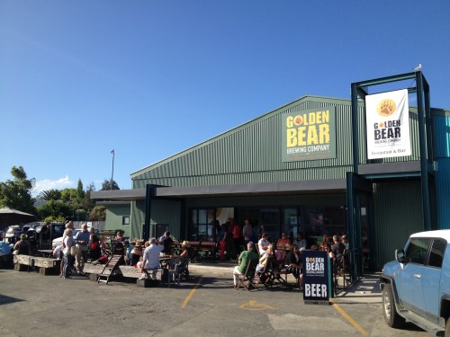 Golden Bear, Mapua, NZ