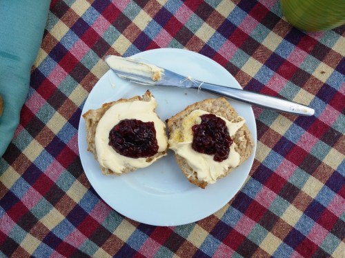 Scones and clotted cream