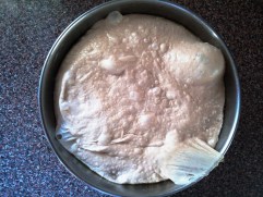 Pizza dough, after final prove