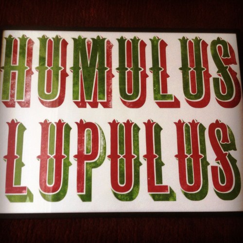 Humulus luplus letterpress, R Frost