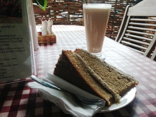 Cake and coffee at Saddlescombe