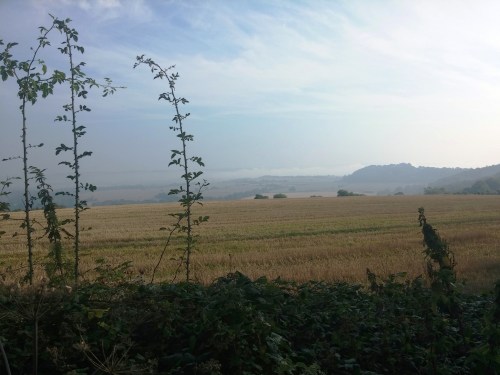 Mist in the Weald, South Downs Way