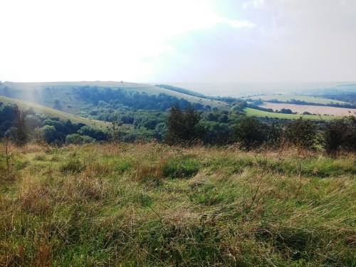Old Winchester Hill, Iron Age hill fort