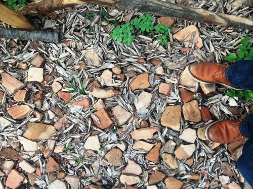 Monte Testaccio amphorae shards