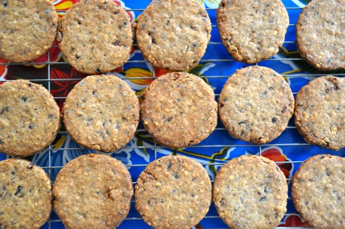 Nut and cocoa nib cookies Nut and cocoa nib cookies
