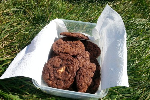 Quintuple chocolate chip cookies in Friston Forest