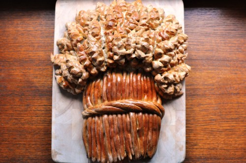 A bread wheat sheaf for a harvest festival A bread wheat sheaf for a harvest festival