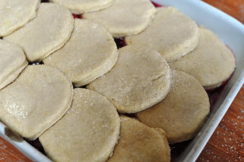 Cover the fruit mix with tiles of cobbler mix