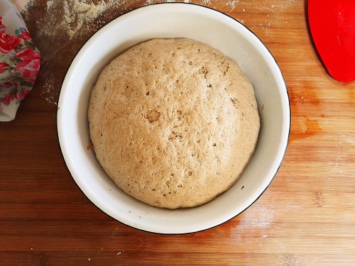 End of first prove on 100% Sussex landrace wheat flour bread